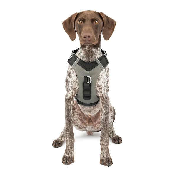 Kurgo Journey Air Harness Schwarz Gr. XS Kurgo Journey Air Harness Schwarz Gr. XS
